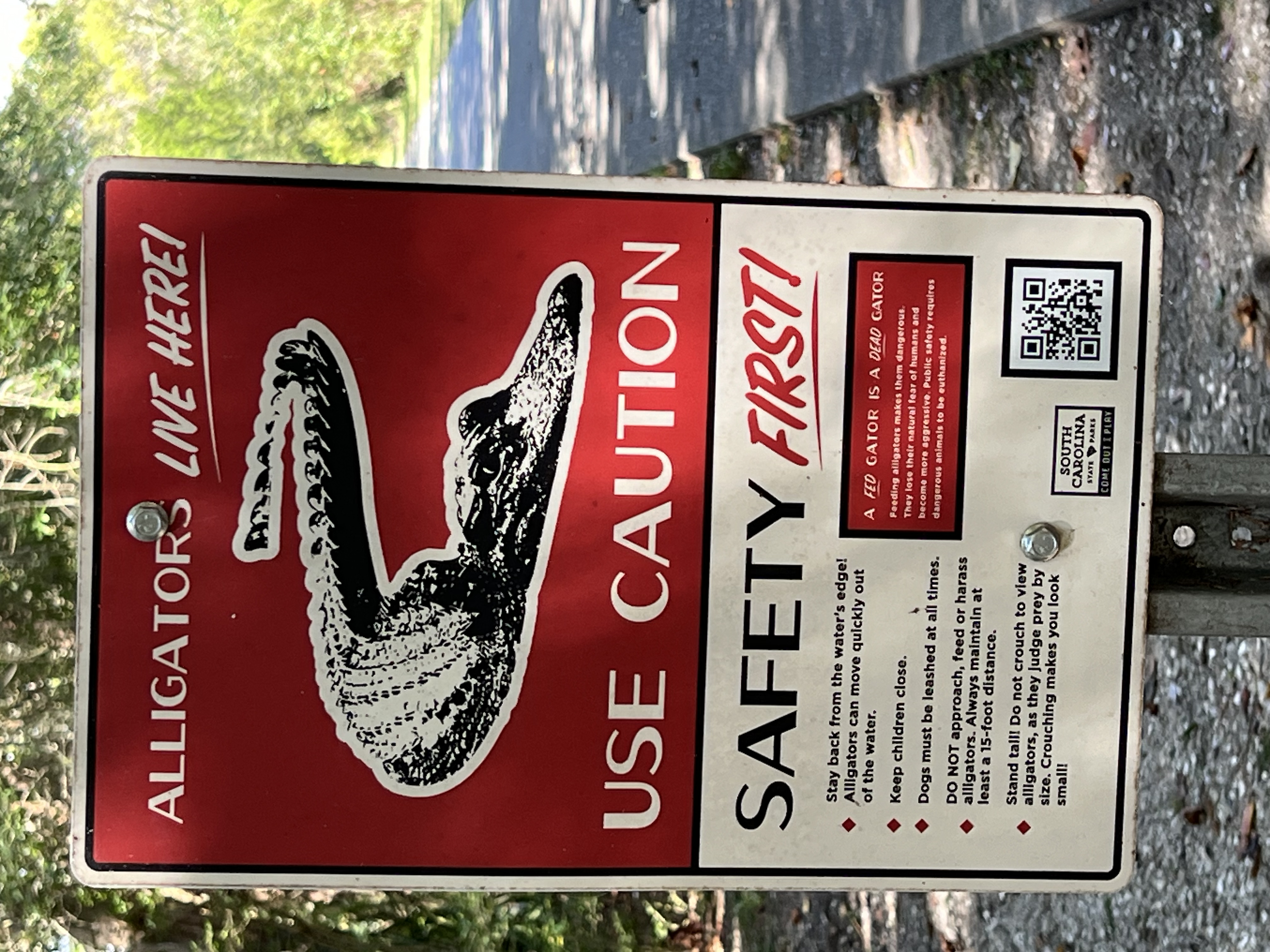 ./2024/10 - Myrtle Beach/IMG_2884.jpg